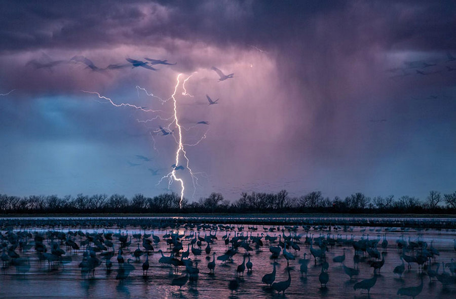 Лучшие фотографии 2016 года от National Geographic