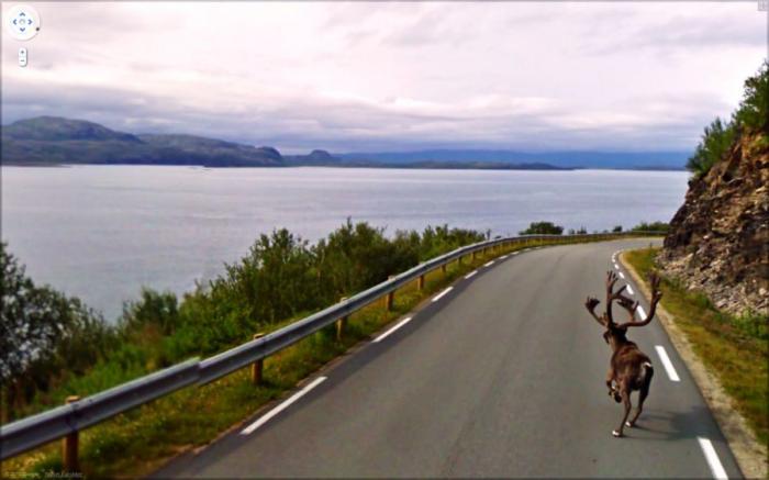 Необычные и забавные фотографии от Google Street View