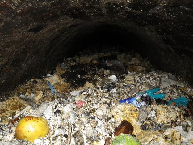 Айсберги из отходов блокируют канализацию британских городов