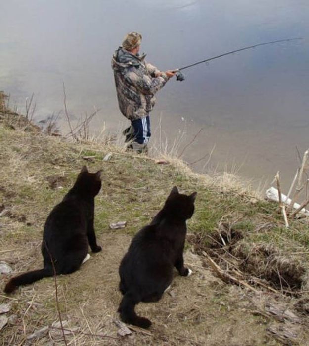 Забавные фото на тему рыбалки