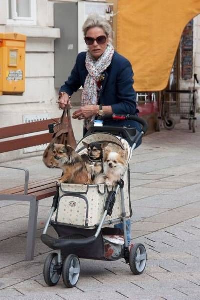 Подборка прикольных картинок