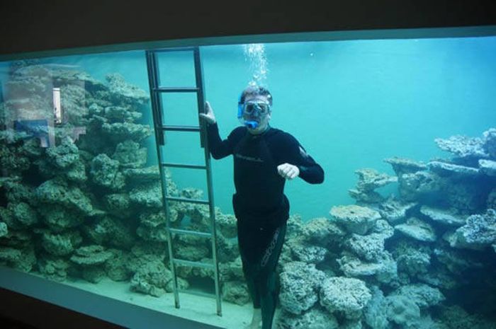 Израильтянин создал самый большой в стране аквариум для гостиной