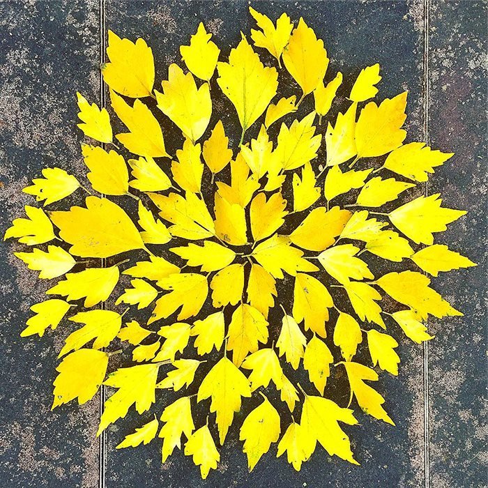 Произведения искусства из опавших листьев из Японии