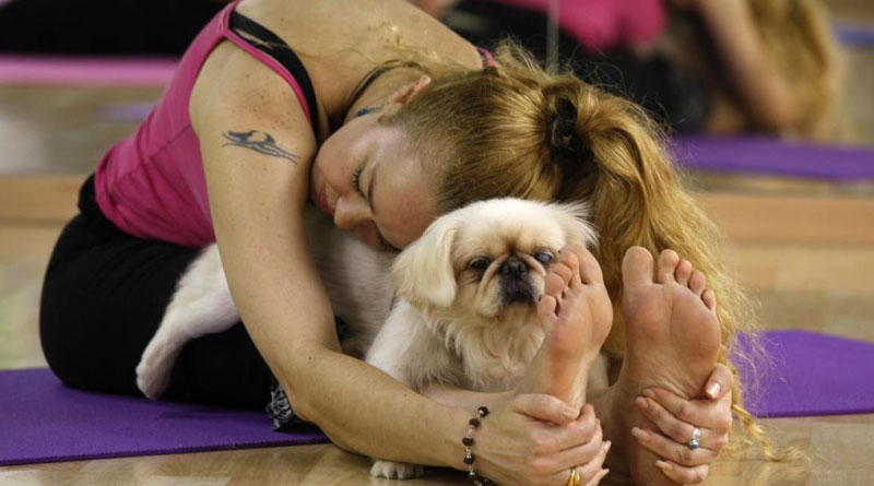 10 видов йоги, которые помогут расслабиться