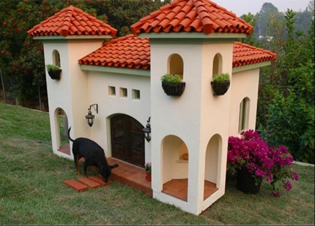 Интересные и необычные домики для кошек и собак