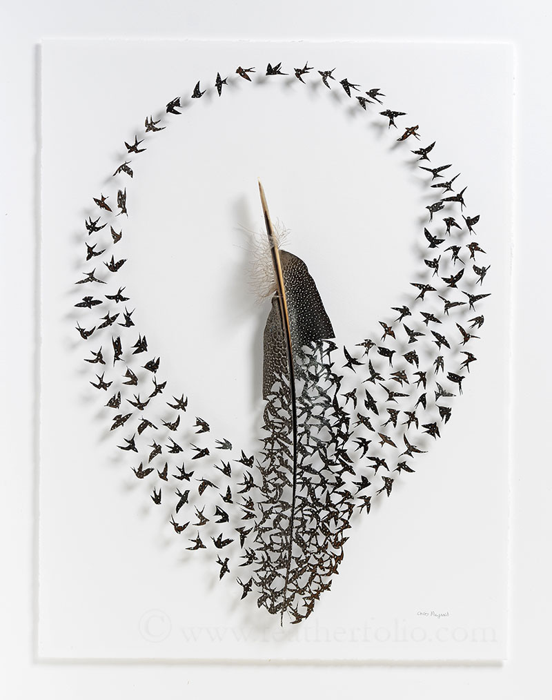 Картины из птичьих перьев от Криса Мейнарда
