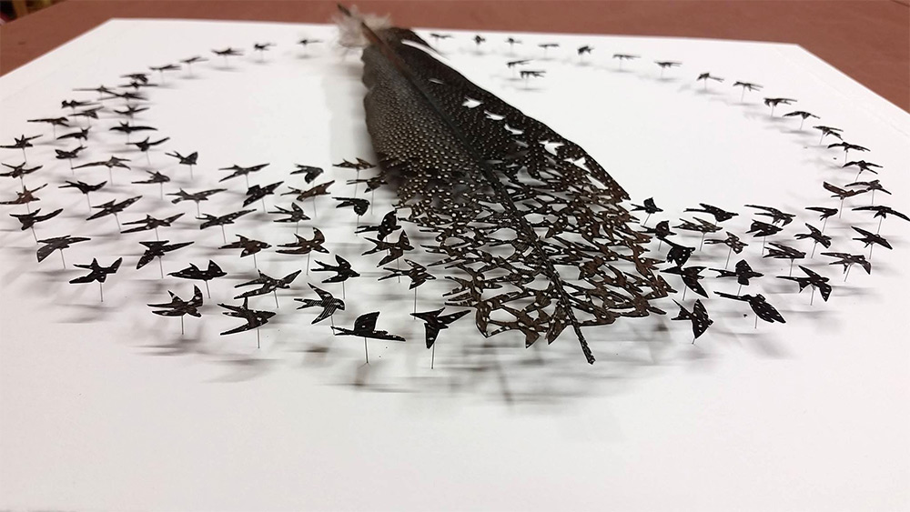 Картины из птичьих перьев от Криса Мейнарда