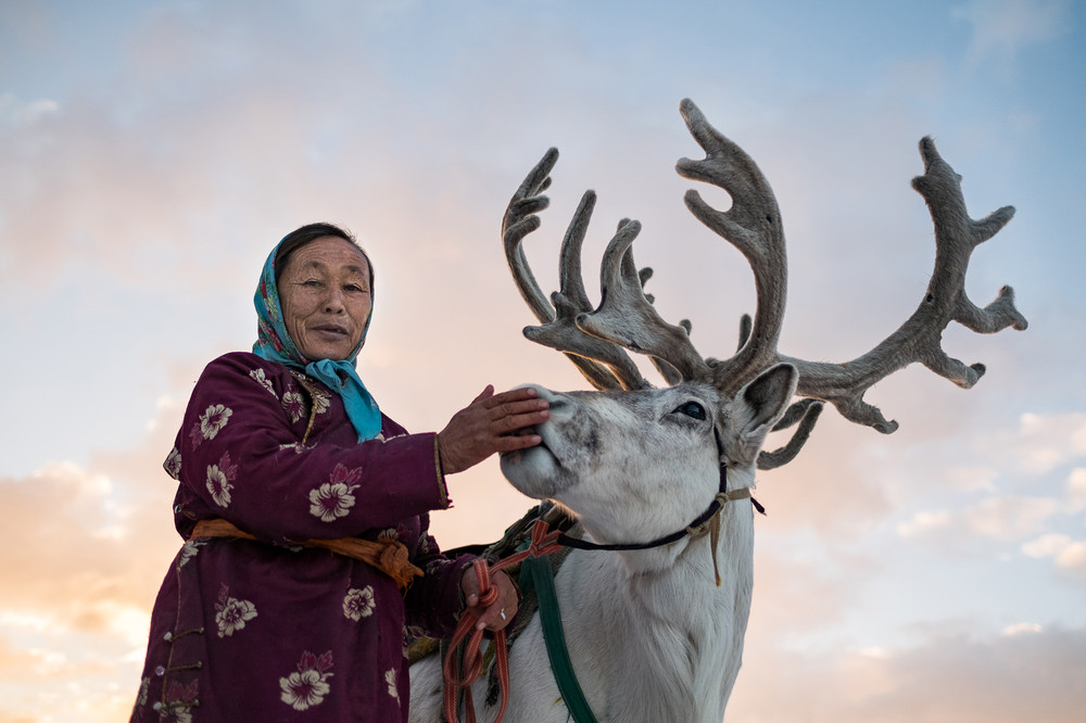 Три дня в гостях у семьи монгольских оленеводов