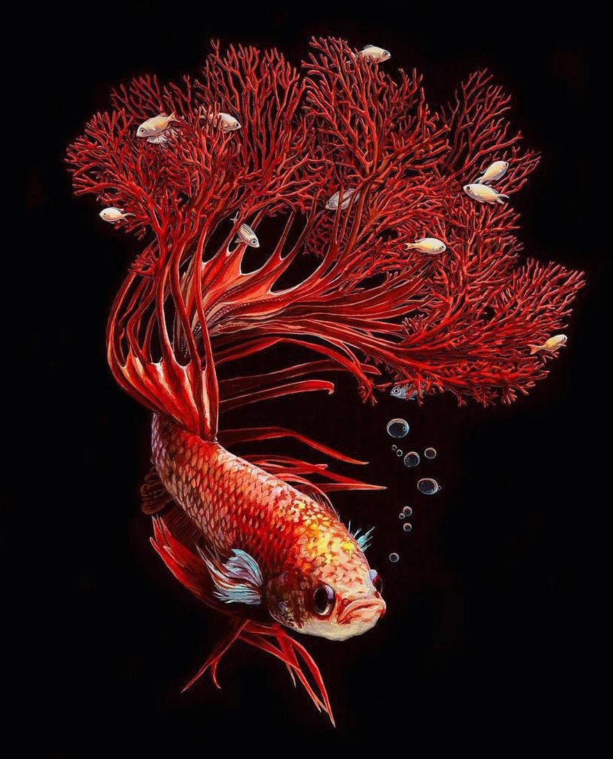 Гиперреалистичные рисунки рыбок от Лизы Эриксон