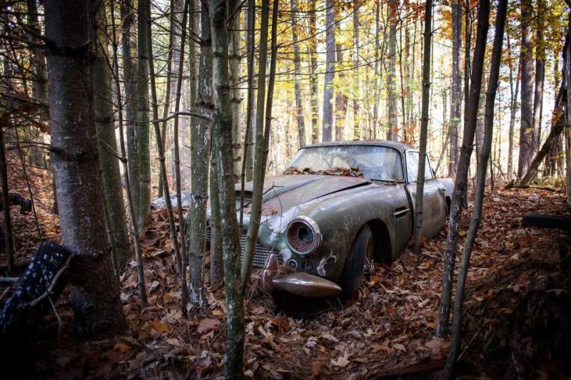 Aston Martin, простоявший полвека в лесу, будет продан с аукциона