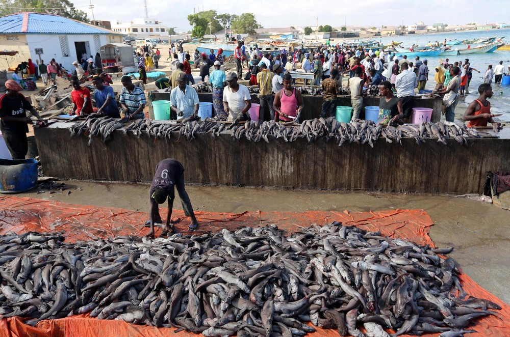 Рыболовный сезон в Сомали