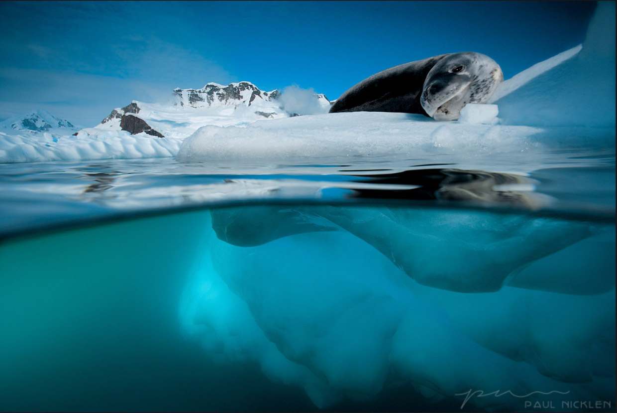 Ледяная красота от Пола Никлена