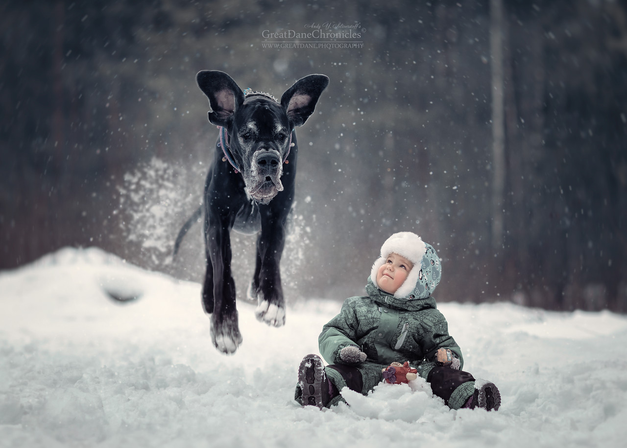 Маленькие дети и их большие собаки на зимней прогулке