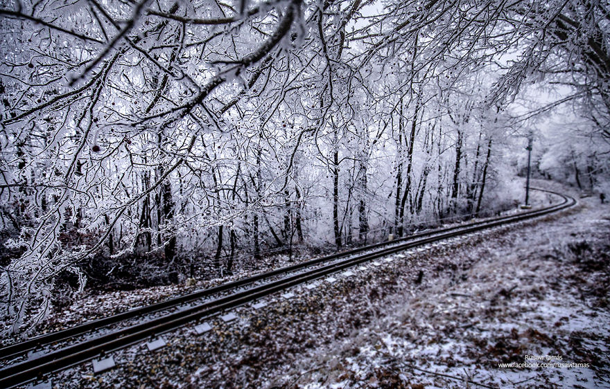 Сказочная красота зимнего леса