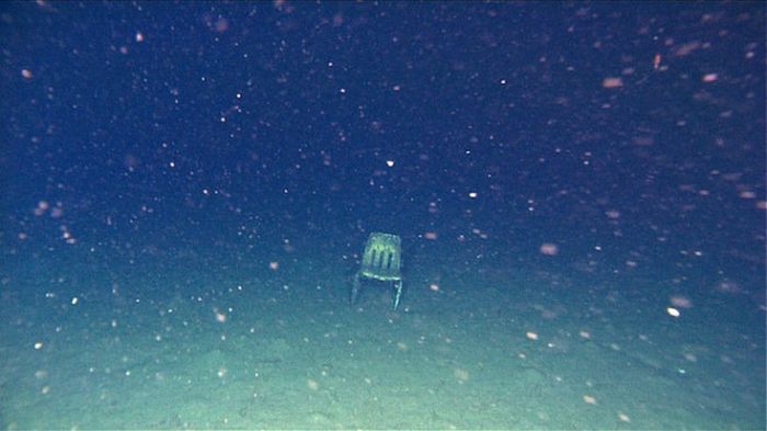 Жуткие фото из морских глубин