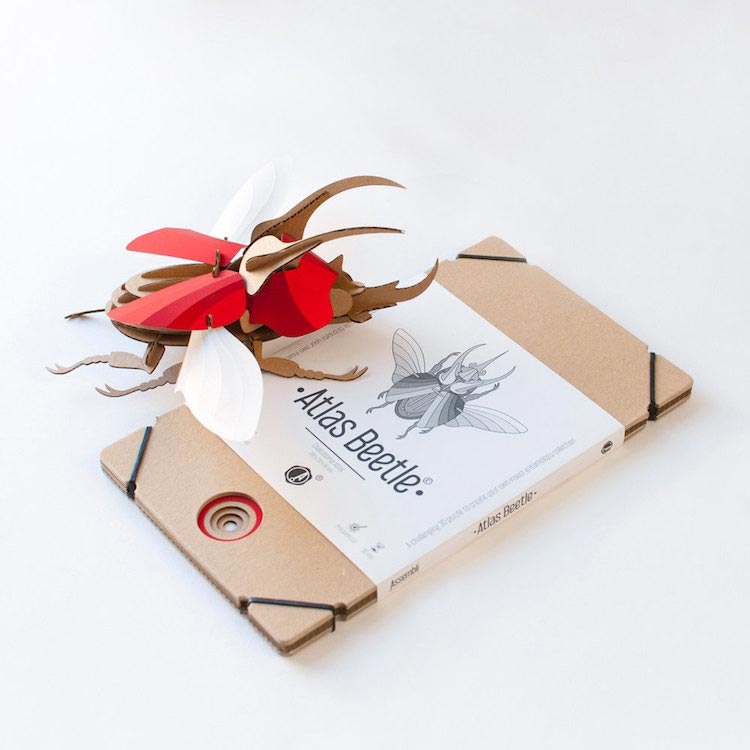 Крутые картонные 3D-пазлы, из которых можно собрать жуков