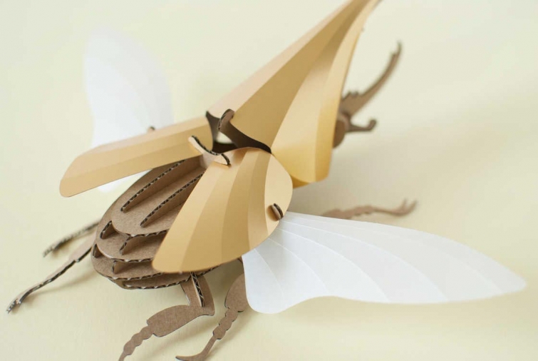 Крутые картонные 3D-пазлы, из которых можно собрать жуков