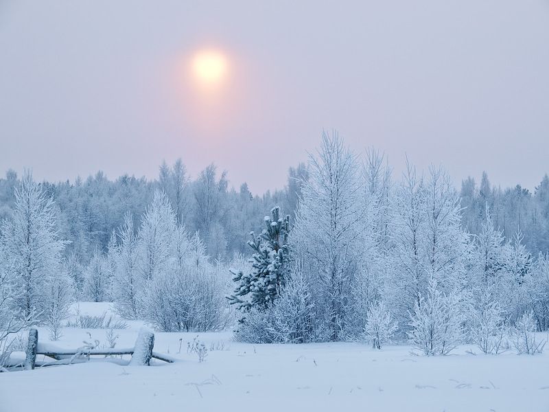 Зимние пейзажи от Максима Евдокимова