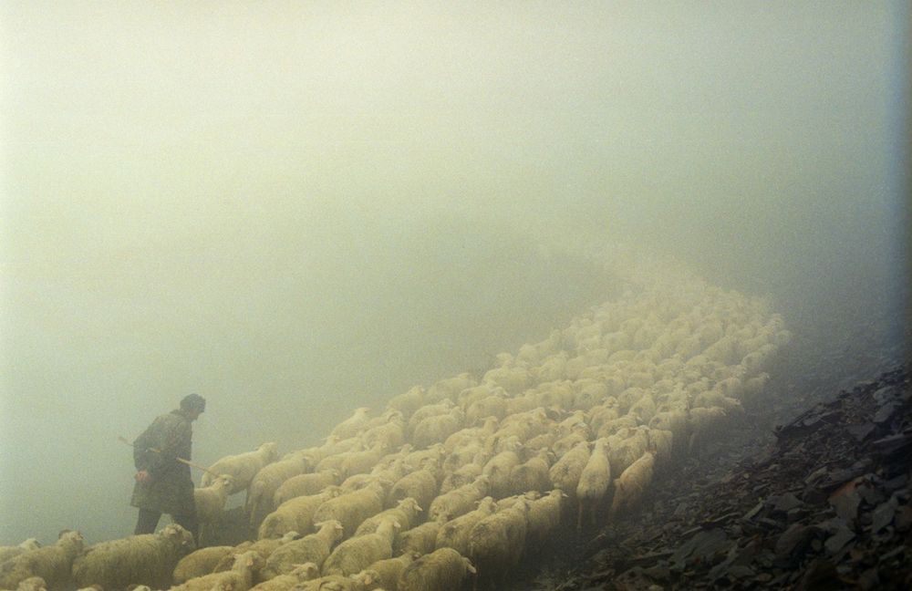 Путь пастуха, фотограф Дмитрий Гомберг