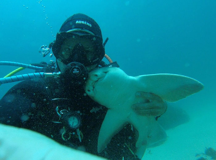 Акула обнимается с дайвером при каждом его погружении