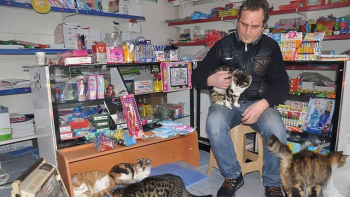 Жители Стамбула помогали бездомным животным во время похолоданий