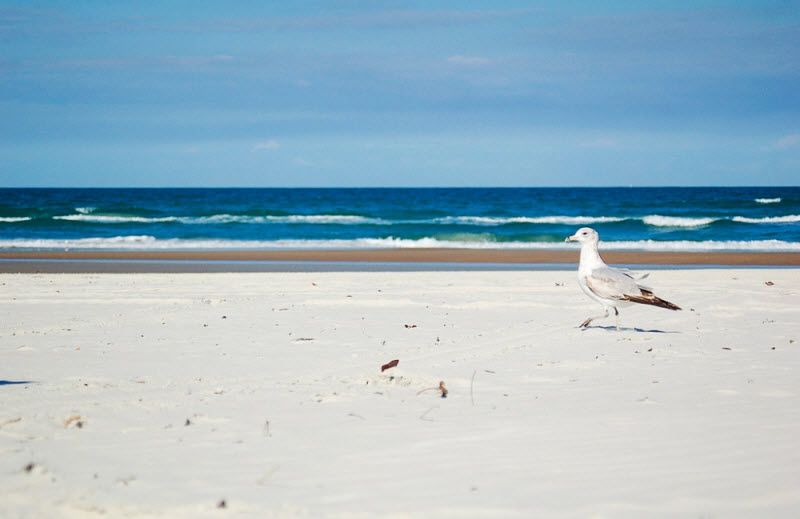10 прекрасных пляжей, от которых лучше держаться подальше