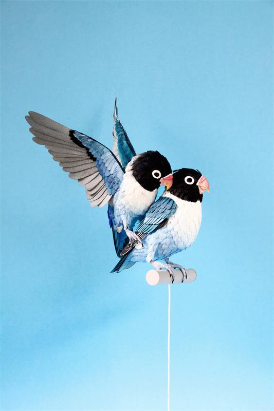 Бумажные скульптуры птиц от Дианы Белтран Херрера
