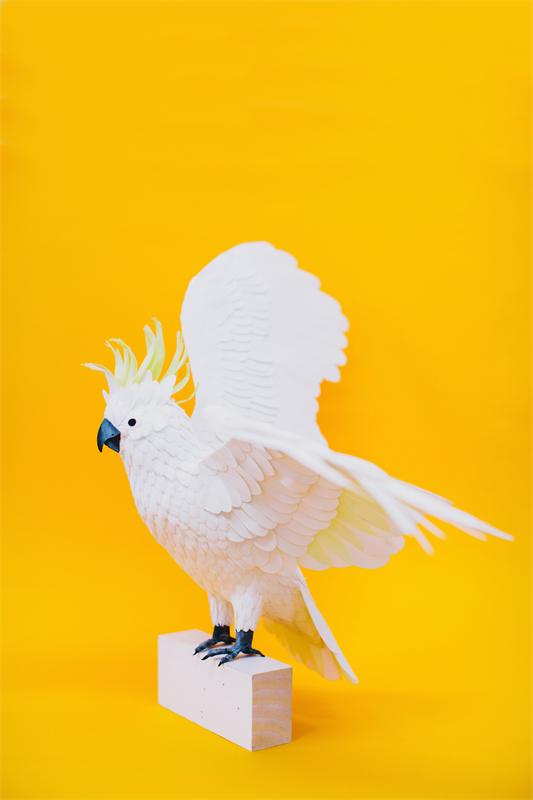 Бумажные скульптуры птиц от Дианы Белтран Херрера