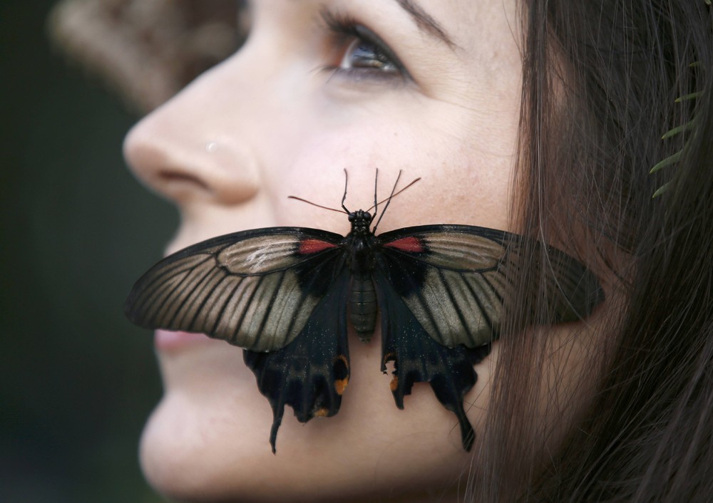 Позитивная фотосессия с бабочками