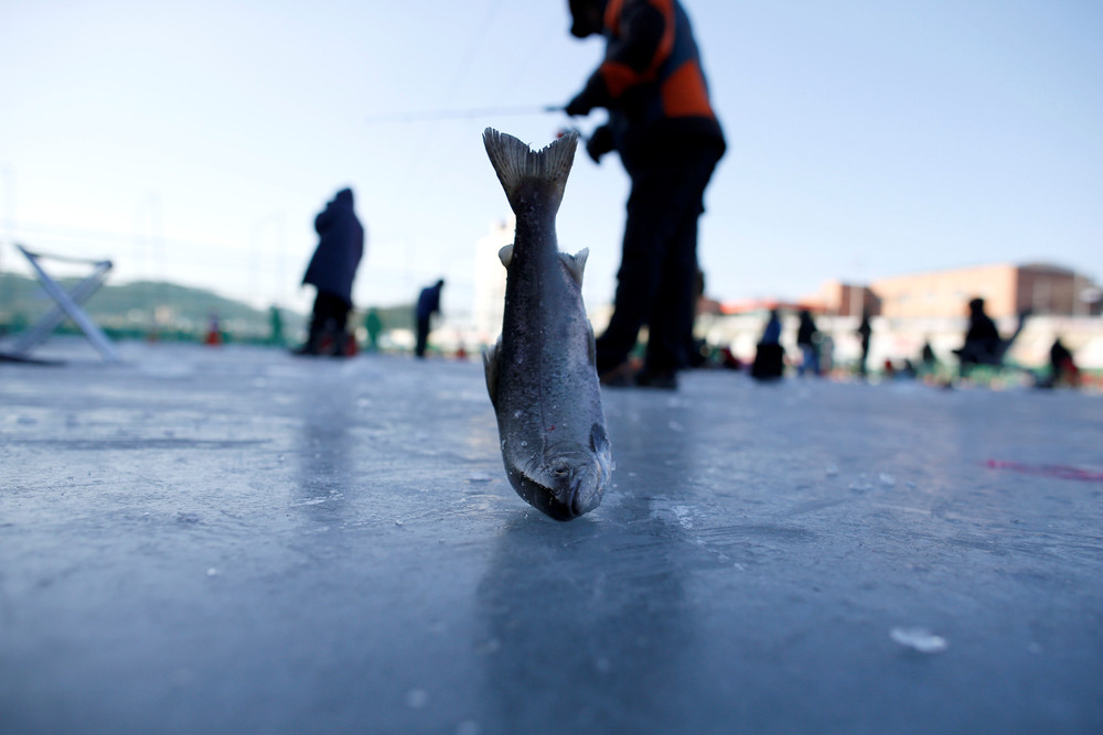 На фестивале зимней рыбалки в Южной Корее