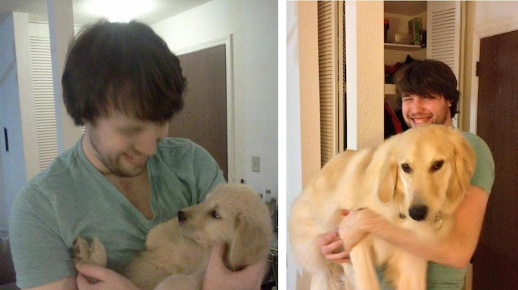 Кто вырастает из милых щенков: до и после