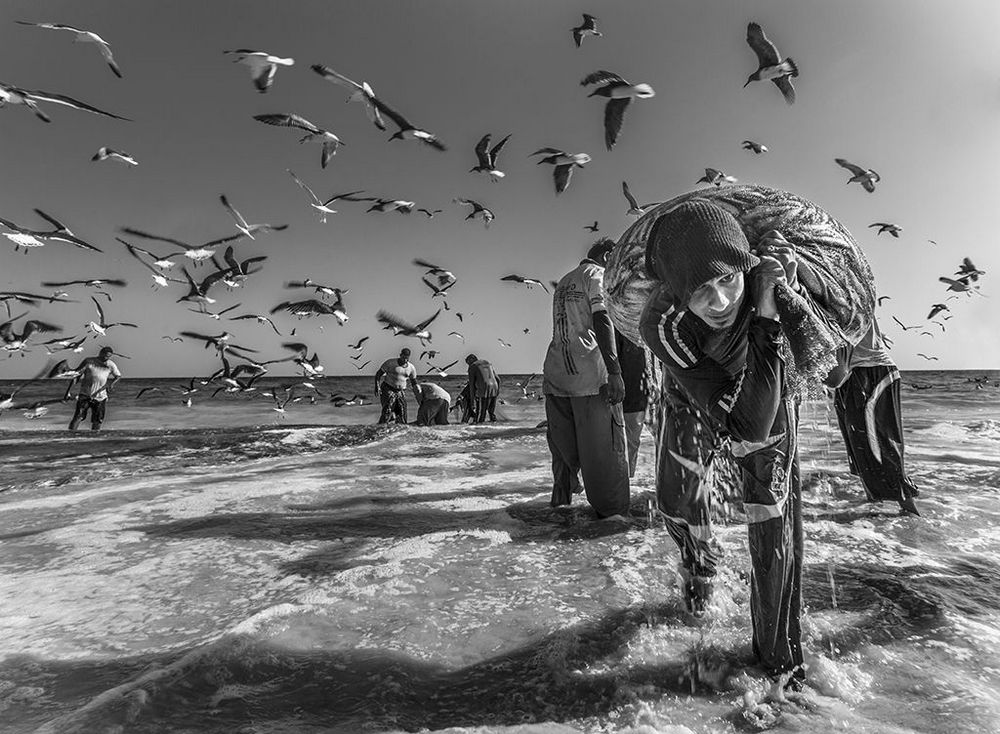 Лучшие чёрно-белые снимки фотоконкурса Siena International Photography Awards 2016