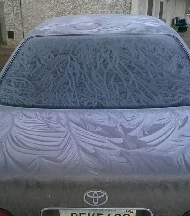 Замерзшие автомобили как произведения искусства