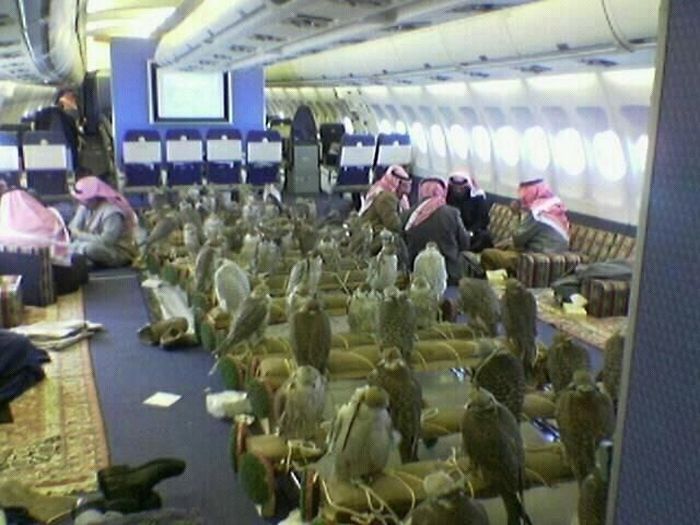 Саудовский принц купил 80 авиабилетов для ястребов