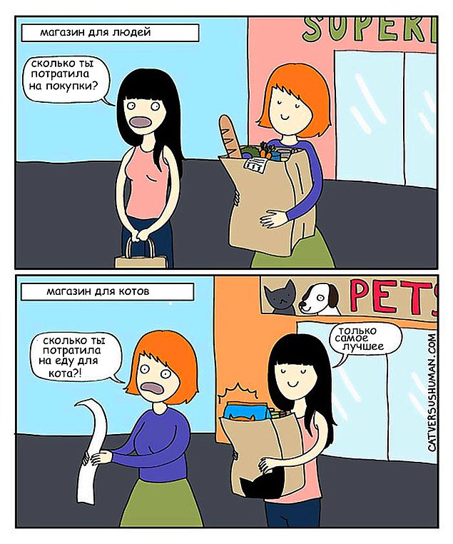 Проблемы жизни с котом в забавных комиксах