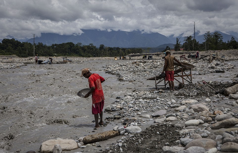 Золотая лихорадка Западного Папуа уничтожает природу