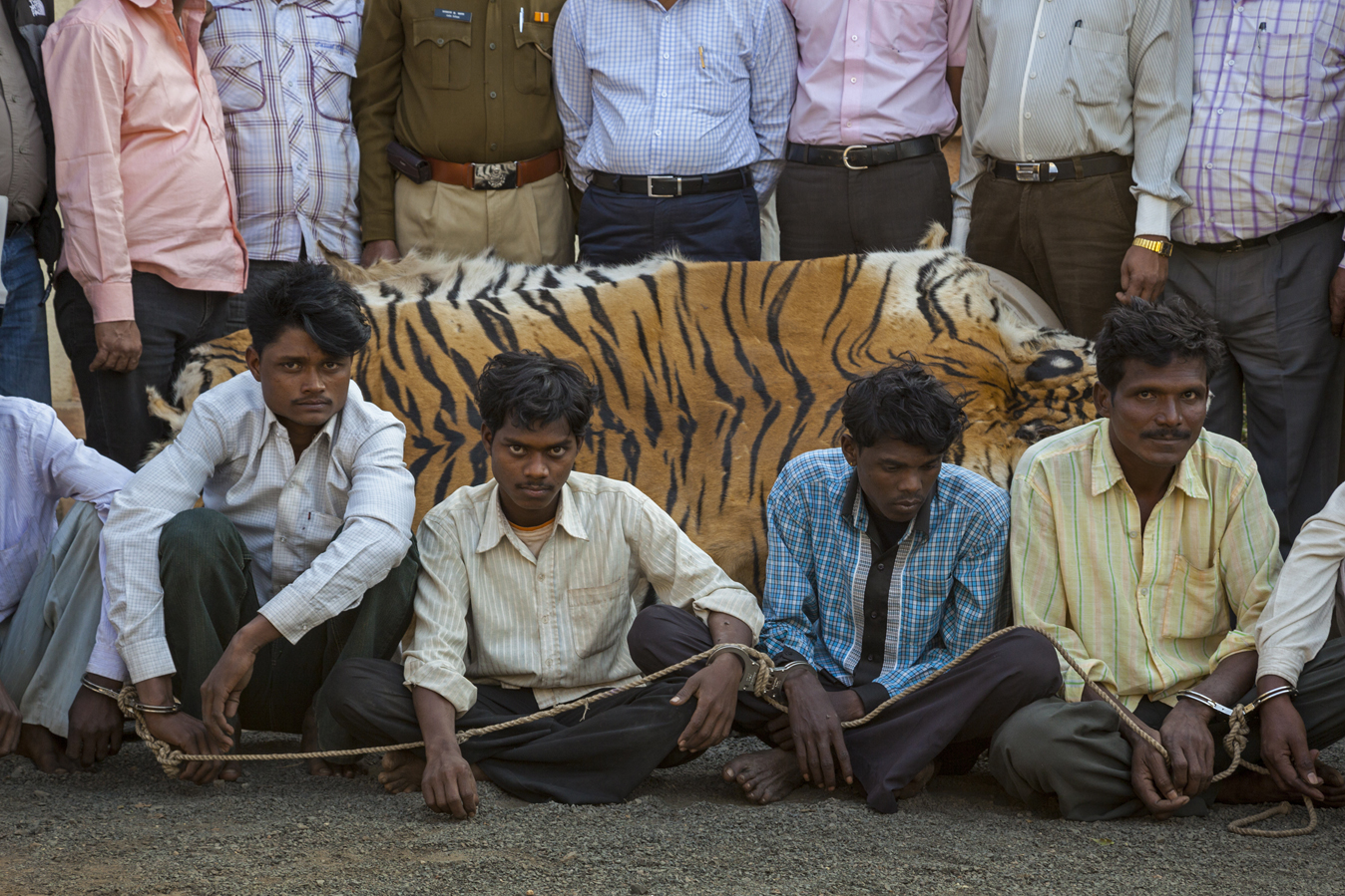 В индийском парке ради спасения носорогов убивают людей