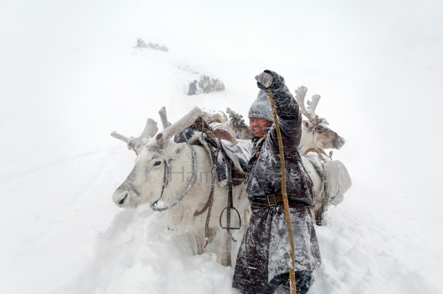 Жизнь кочевых племен Монголии