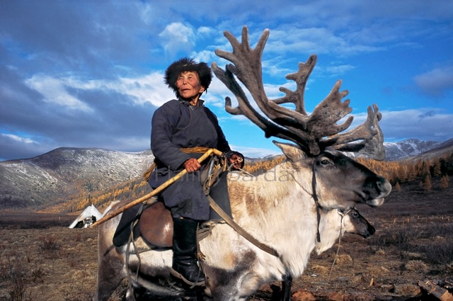 Жизнь кочевых племен Монголии