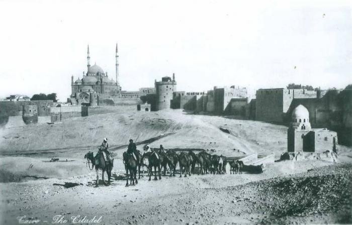 Египет на старых открытках