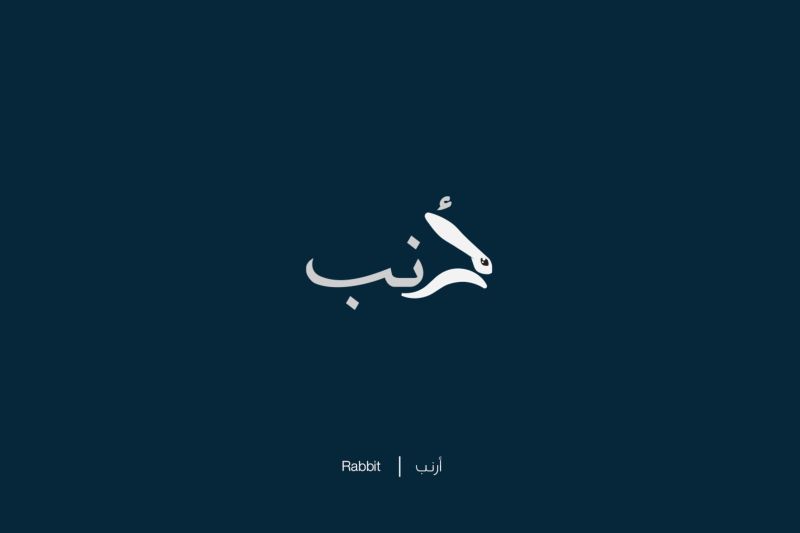 Египетский иллюстратор превращает арабские слова в их реальные значения