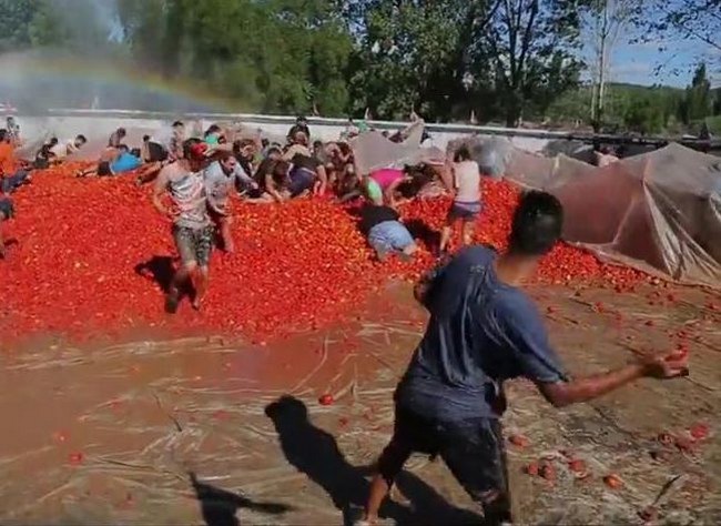 Ежегодая битва помидорами в Чили