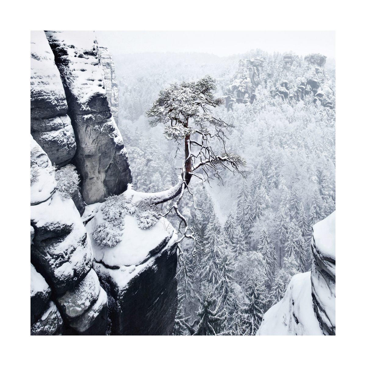 Фотопроект Килиана Шонбергера: Зима в квадратах