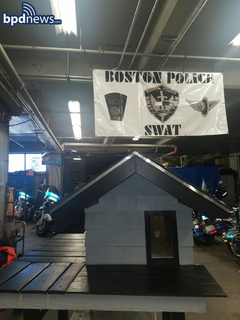 Бостонский спецназ построил крутой дом для своей кошки