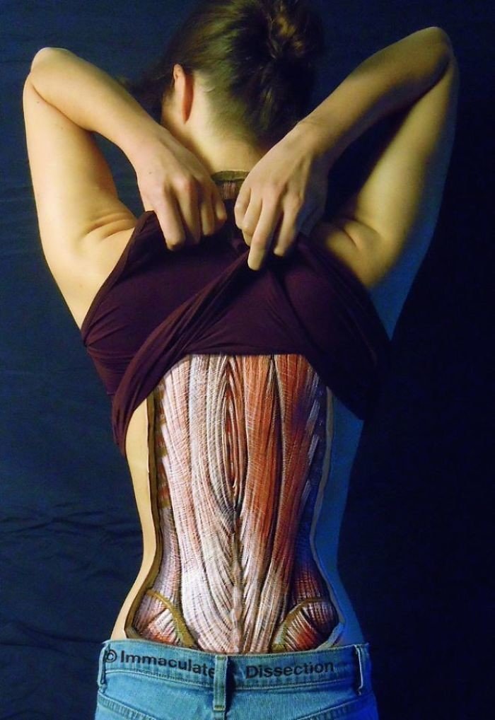 Анатомические рисунки на телах