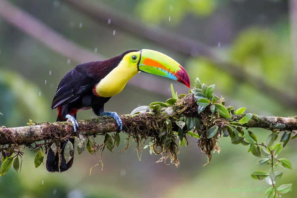 Финалисты конкурса Smithsonian Photo Contest 2016