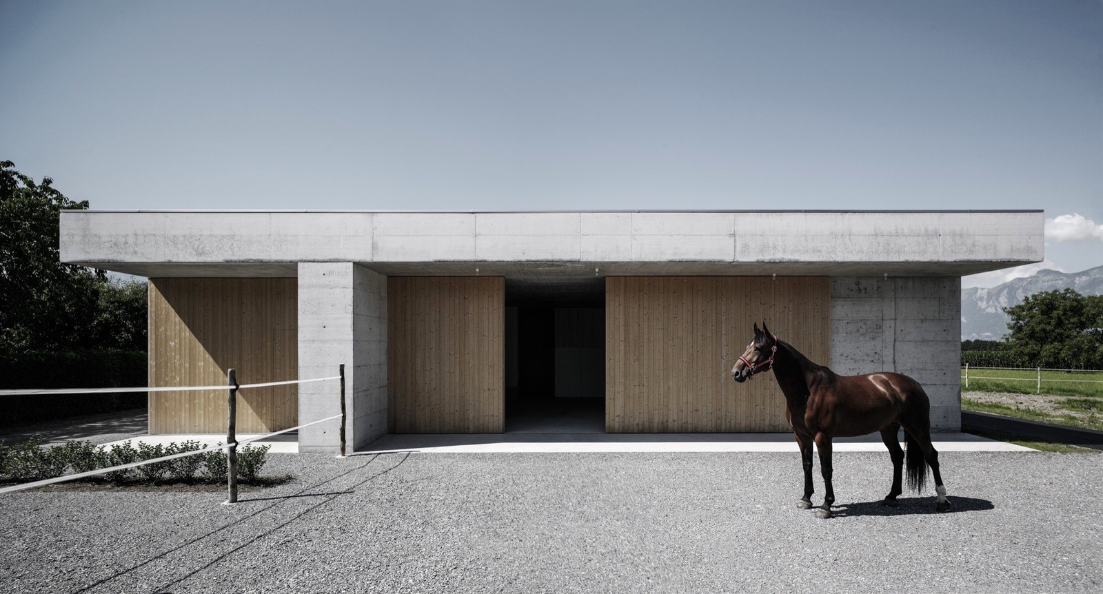 Ветеринарная лечебница для лошадей в Австрии