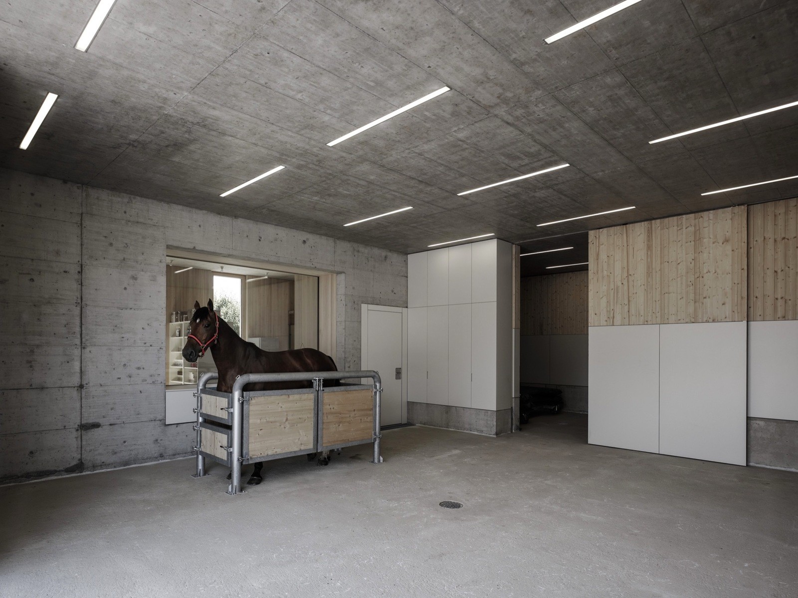 Ветеринарная лечебница для лошадей в Австрии