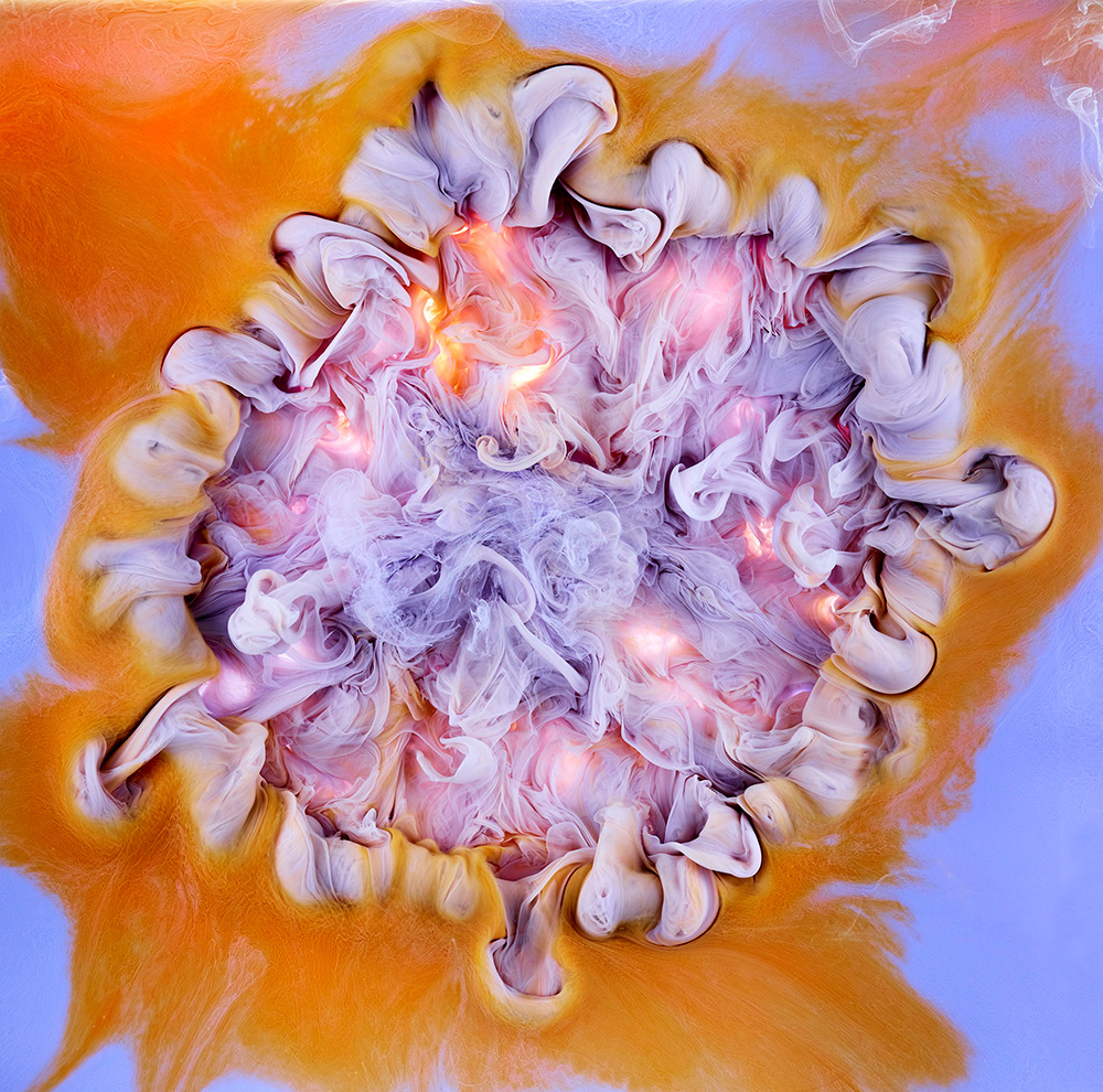 Розы из красок и воды от фотографа Марка Моусона