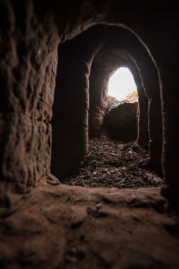 Кроличья нора оказалась входом в 700-летнюю сеть пещер, построенных тамплиерами